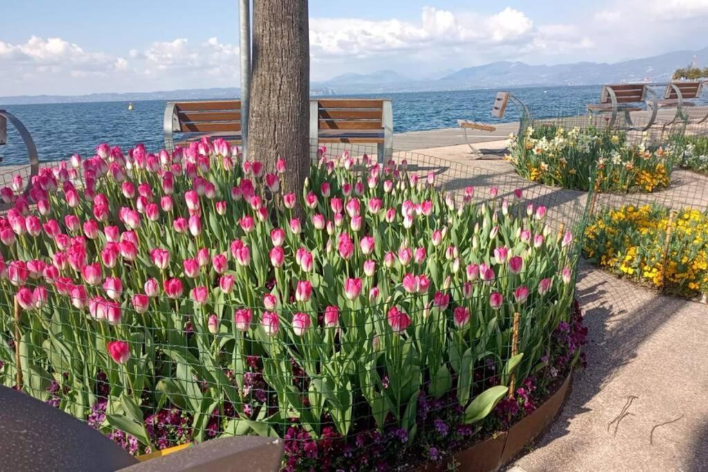 Francesca'S Home Bardolino Dış mekan fotoğraf